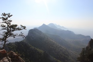 IMG_3974