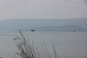 IMG_0813