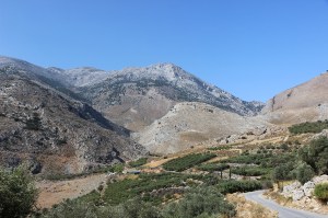 view4