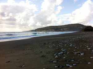 beach day