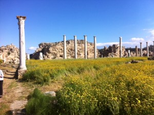 photo salamis