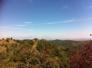 IMG_1572