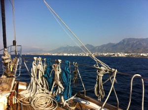 IMG_1960