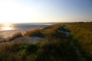 IMG_4241