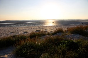 IMG_4243