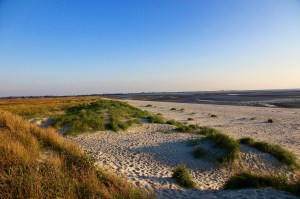 IMG_4244