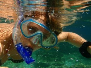 snorkle