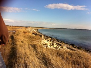 IMG_2488